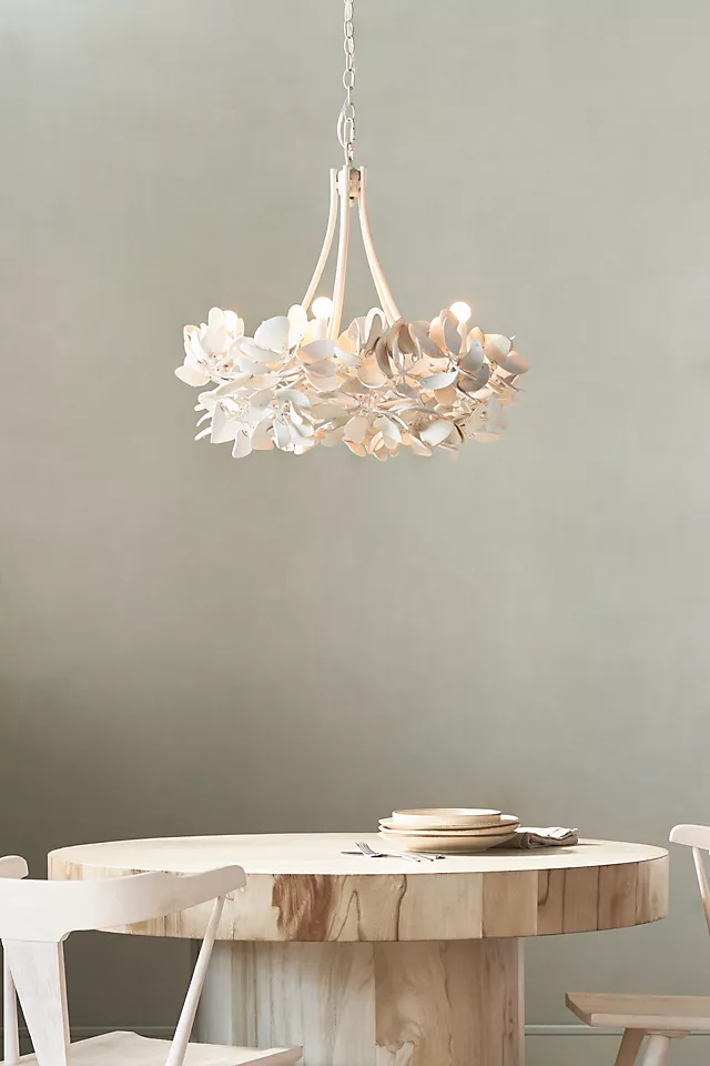 Anthropologie Lighting