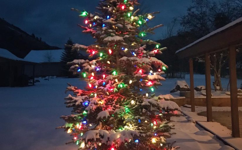 Multicolored Christmas Tree Floor Lamps: A Festive Guide