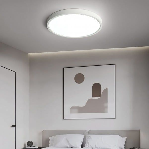 eiling lamp