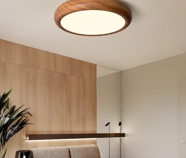 LED Ceiling Lamp: Elevate Your Space with Stylish Light
